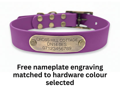 purple grape biothane buckle collar with engraved nameplate on white bg