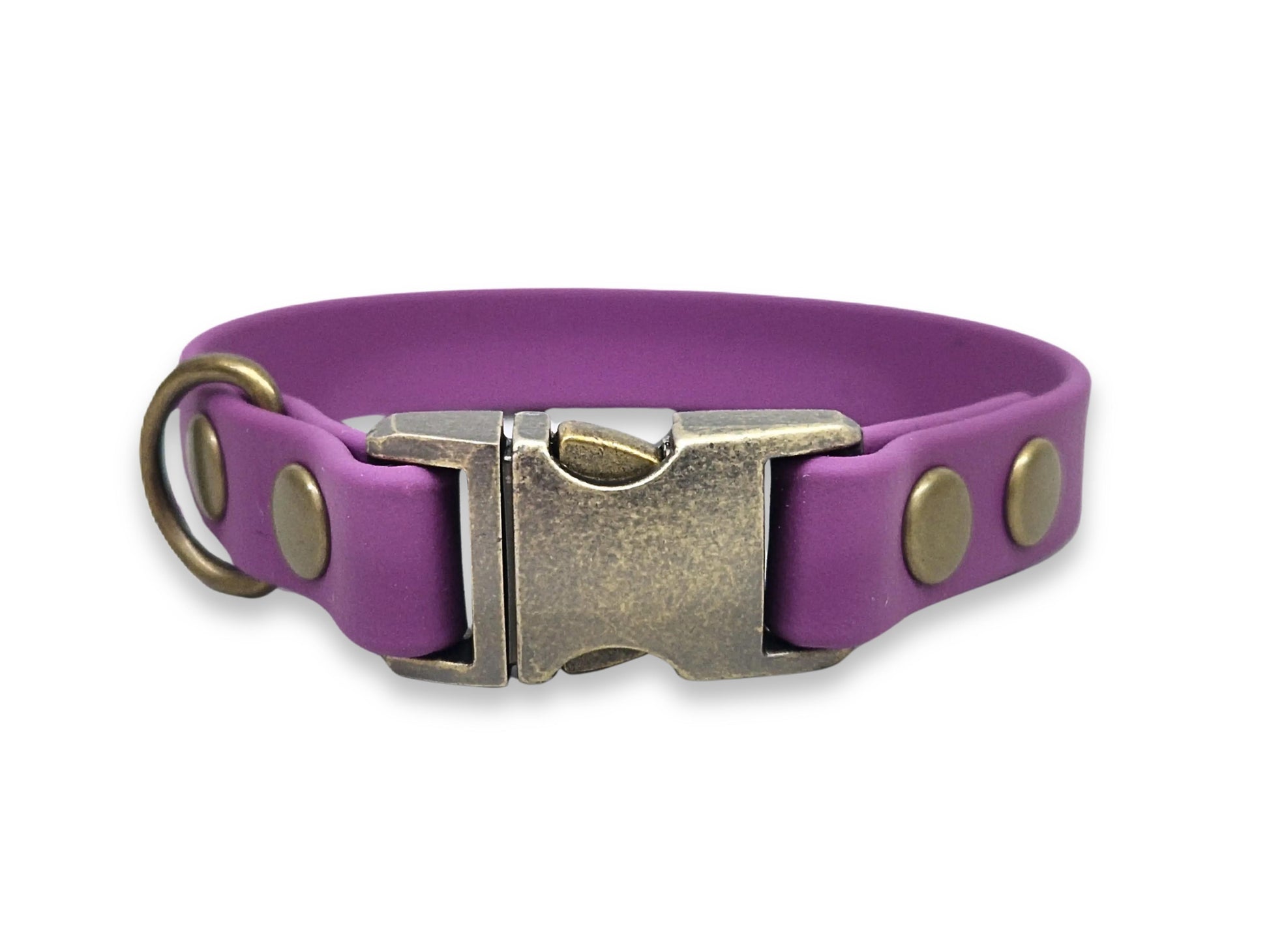 purple small breed biothane dog collar on white bg