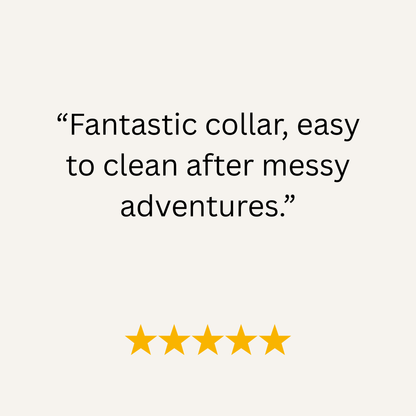Five-star review text on a white background with 'Fantastic collar, easy to clean after messy adventures.'