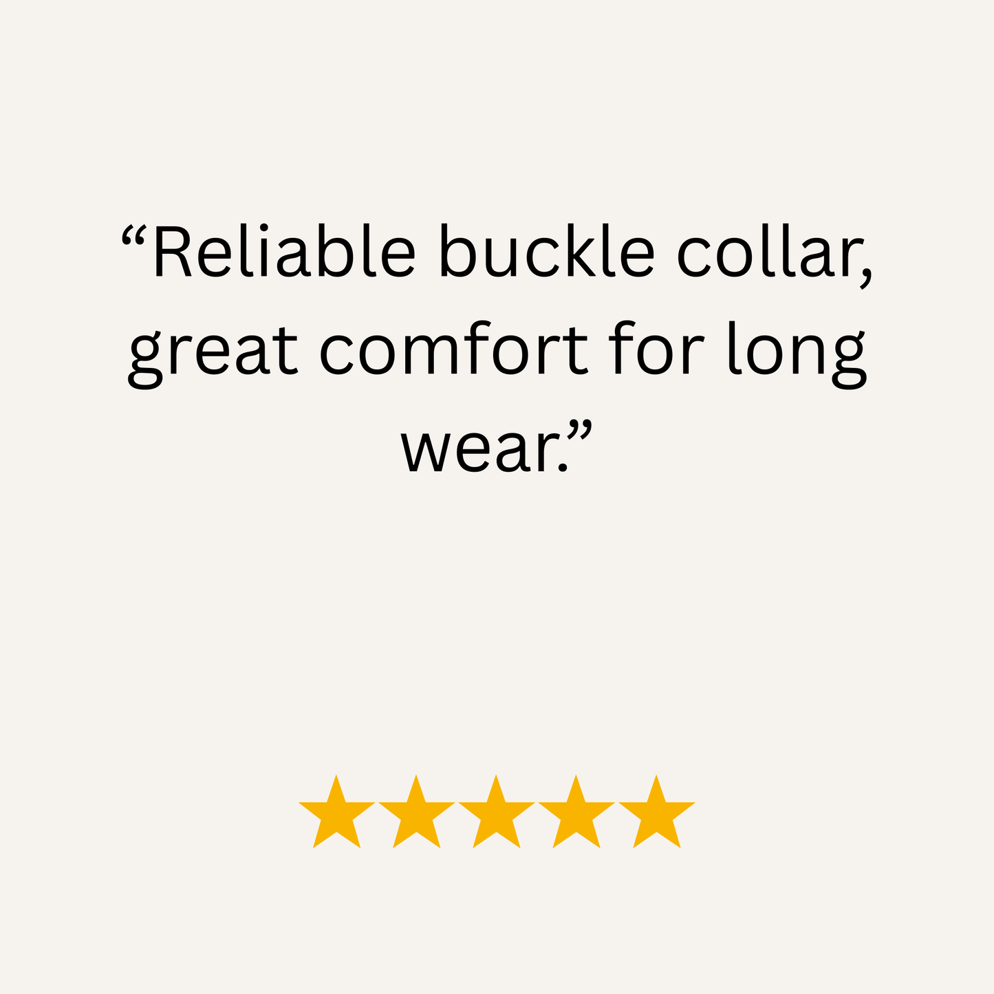 Duck Egg Blue Waterproof Biothane Buckle Dog Collar - Collared Creatures LTD