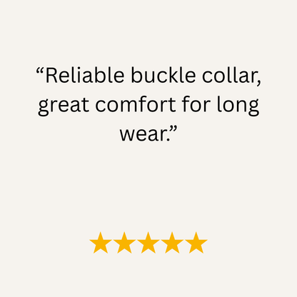 Duck Egg Blue Waterproof Biothane Buckle Dog Collar - Collared Creatures LTD