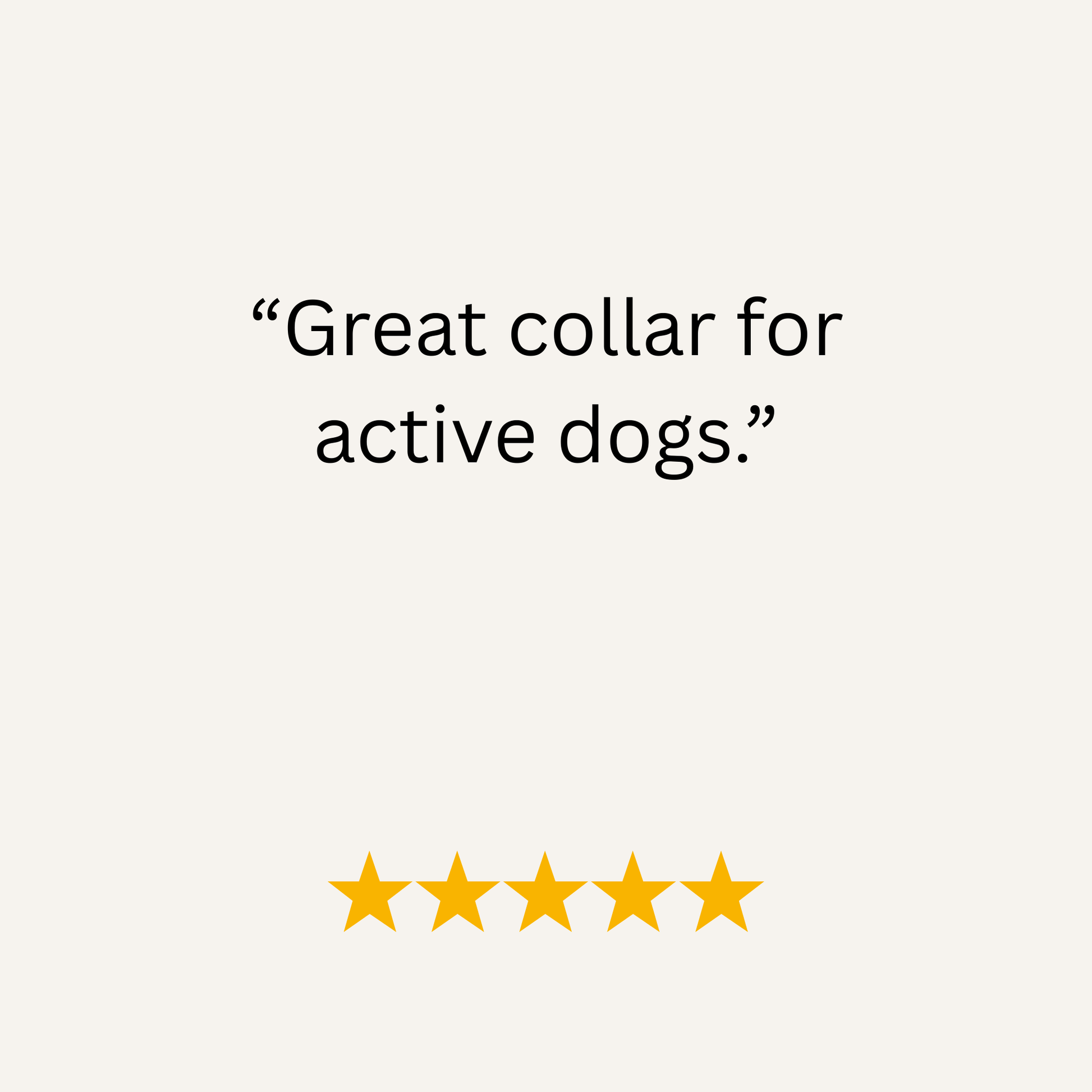 Navy Waterproof Biothane Metal Clasp Dog Collar - Collared Creatures LTD