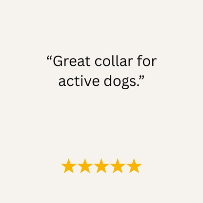 Navy Waterproof Biothane Metal Clasp Dog Collar - Collared Creatures LTD