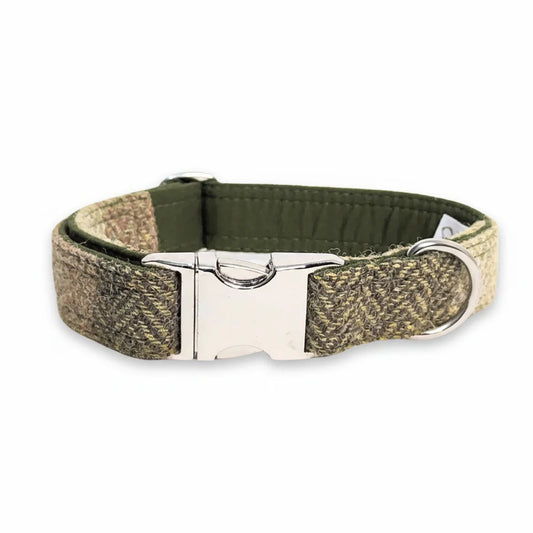 Green block herringbone Harris Tweed dog collar with silver clasp on a white background