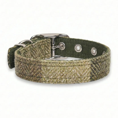 green block tweed dog buckle collar rear view on white background