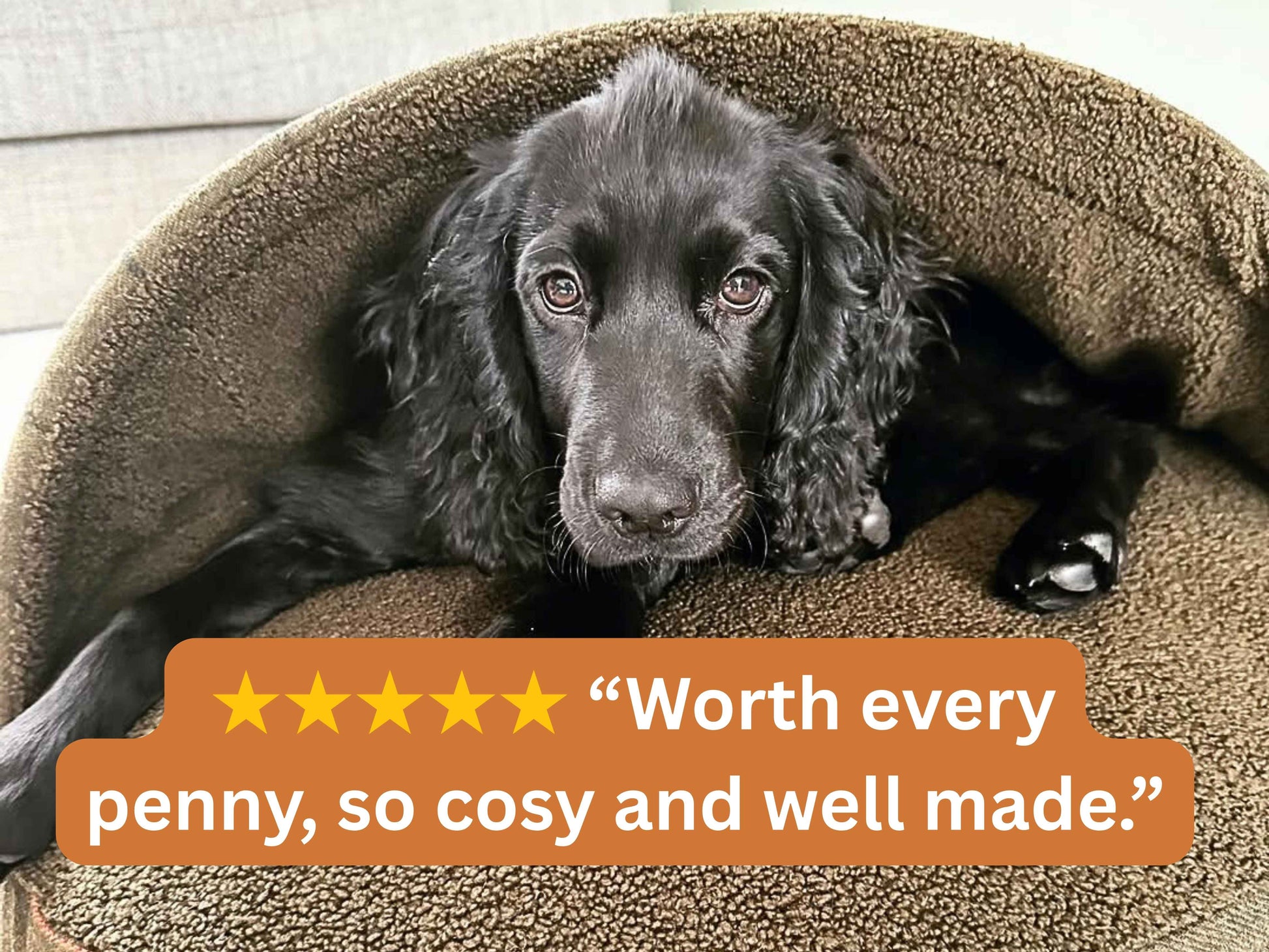 Luxury green cave bed for dogs shown with five-star review text overlay.