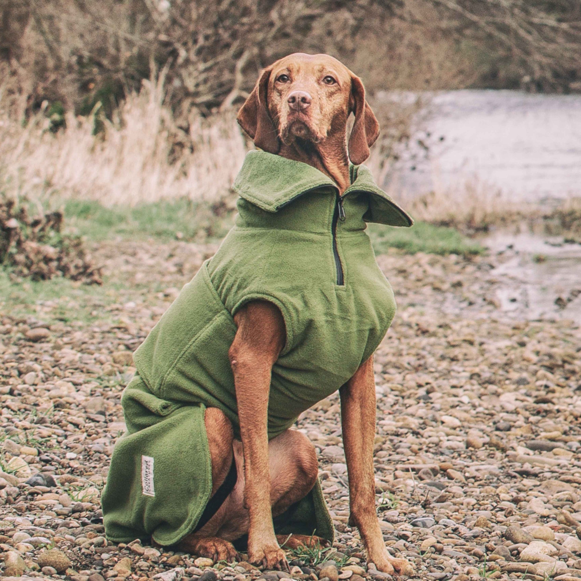 Green Dog Drying Coat – Quick Dry, Fleece Lined, Machine Washable