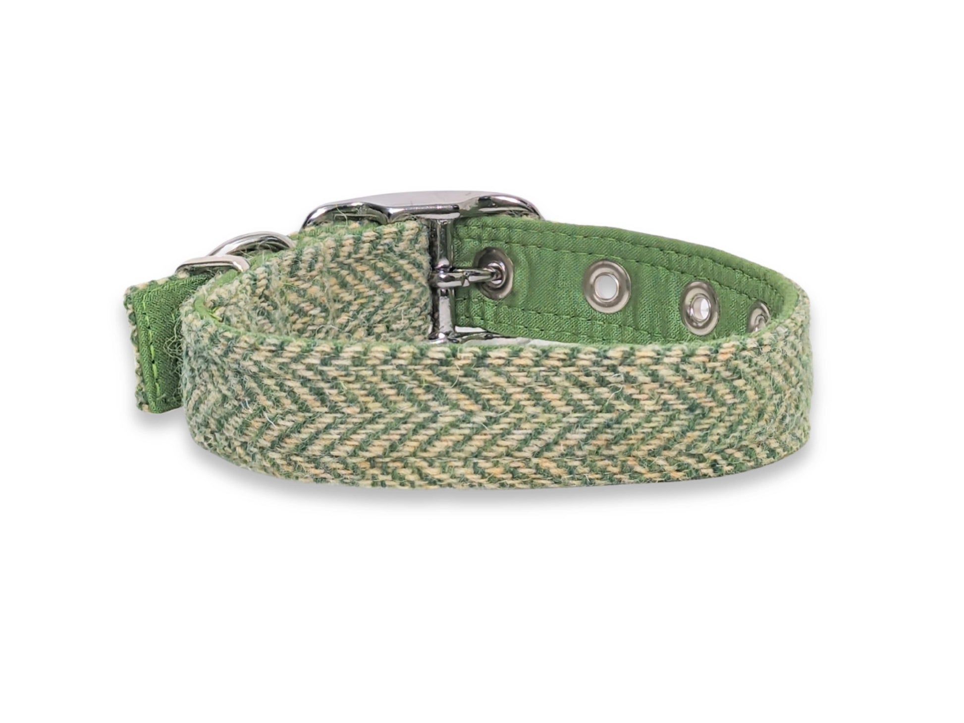 green herringbone harris tweed buckle dog collar back view 