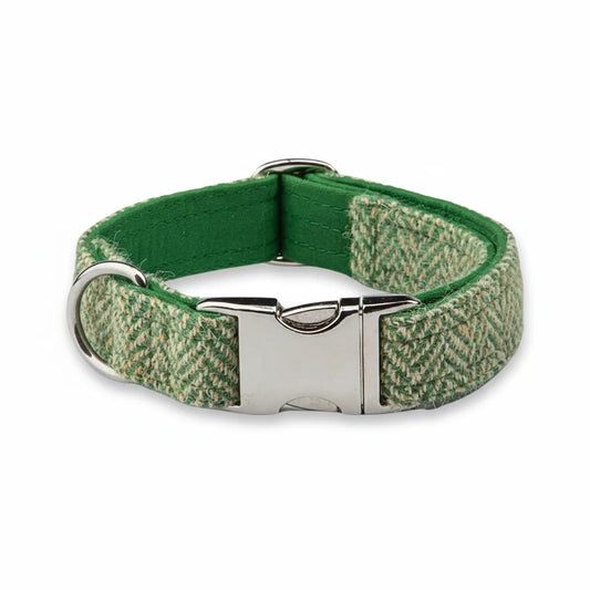 Green herringbone Harris Tweed dog collar with silver clasp on a white background