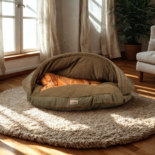 Luxury Dog Beds