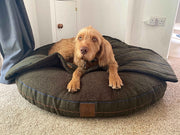 shaggy dog lying on green tweed cave bed with hood folded flat