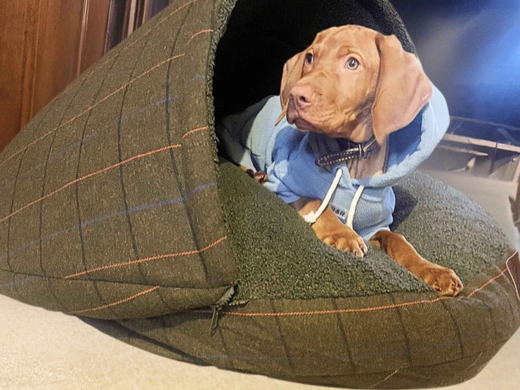 Puppy in blue hoodie sitting inside green tweed dog cave bed