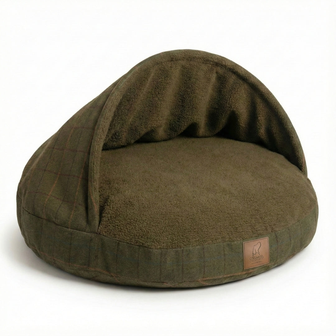 green tweed dog cave bed on white background - aspect ratio 1:1  - studio photography
