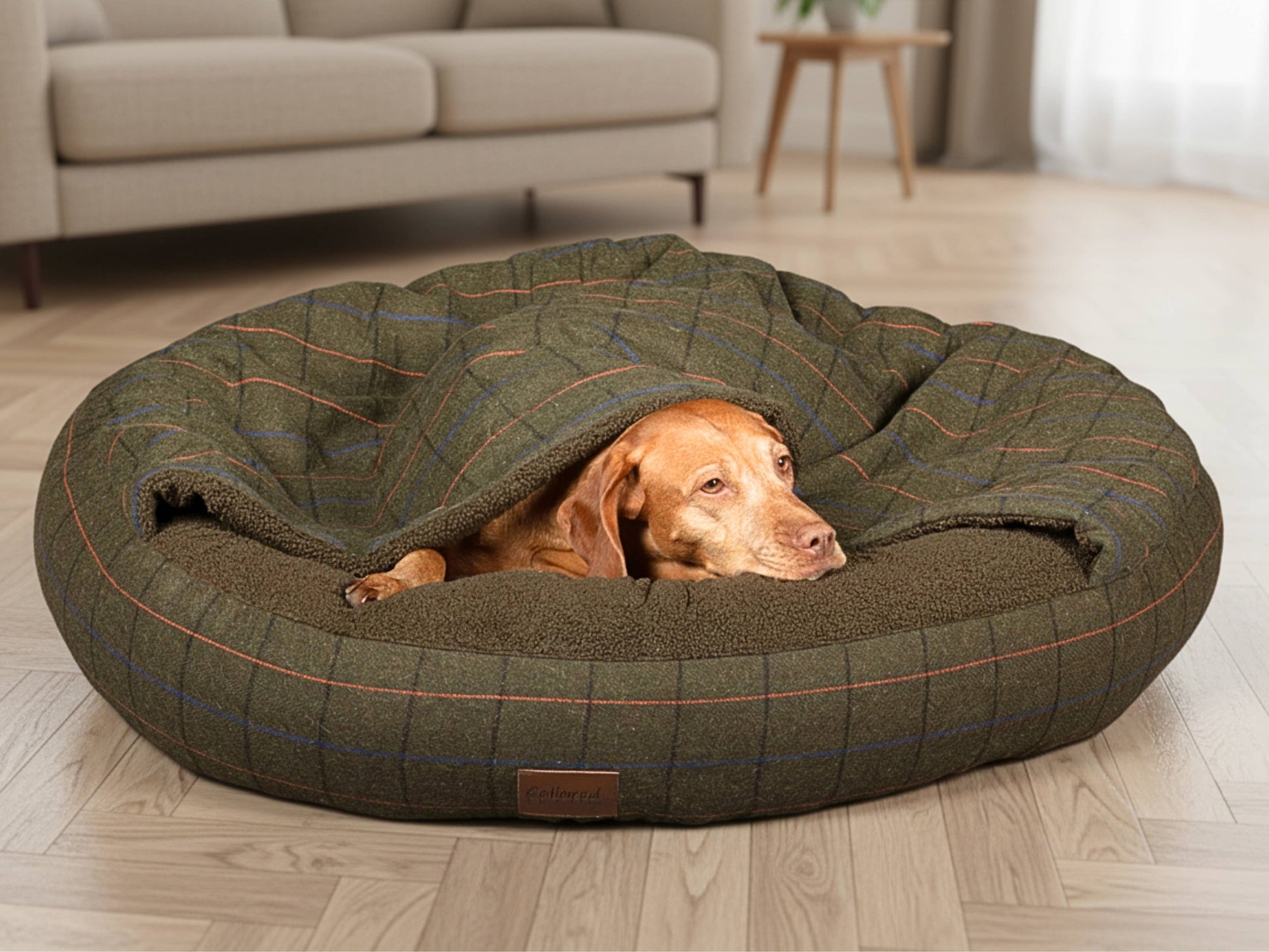 Green tweed cocoon dog bed with dog peeking out from under soft sherpa lining