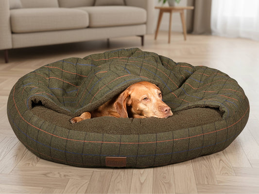 Green tweed cocoon dog bed with dog peeking out from under soft sherpa lining