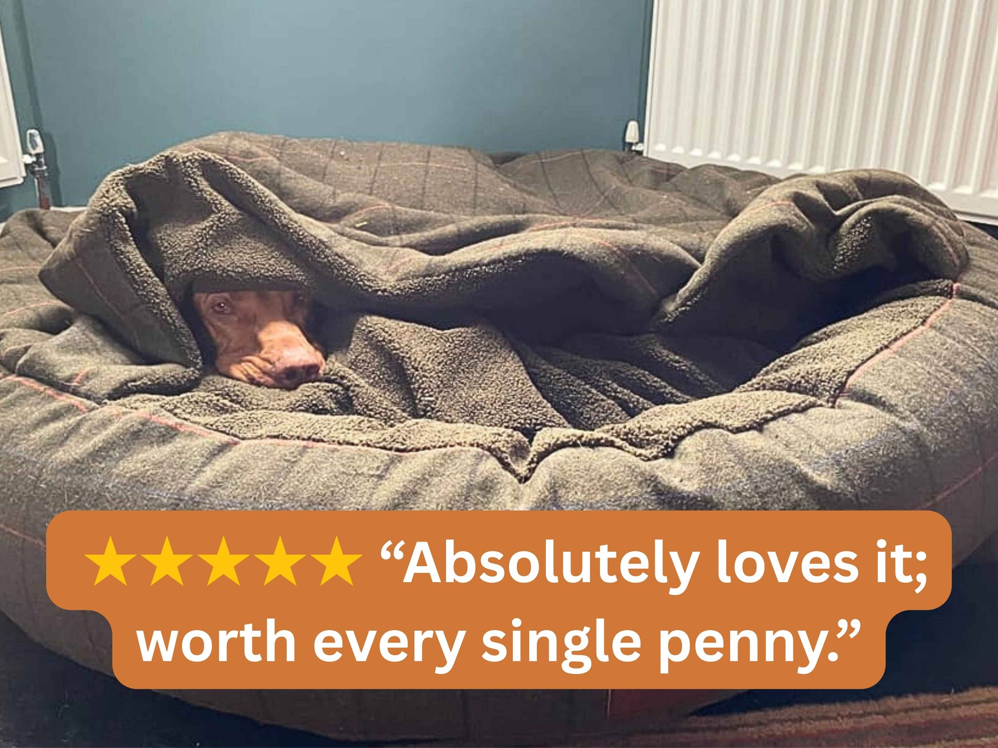 Green Tweed Cocoon Bed with customer review overlay: Absolutely loves it; worth every single penny
