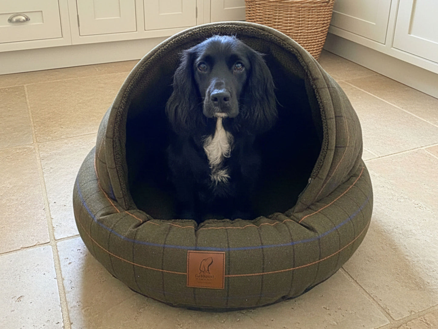 Black dog sitting inside a Green Tweed Cocoon Dog Bed in a kitchen setting.