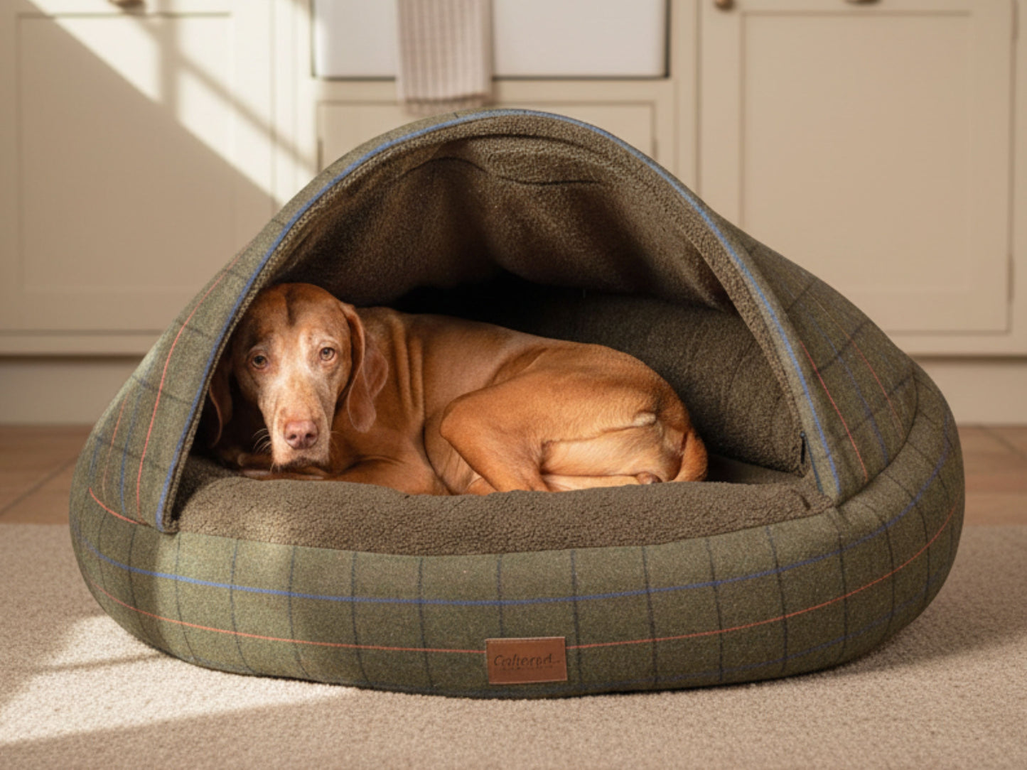 Dog curled up inside a Green Tweed Cocoon Dog Bed in a cosy kitchen setting.