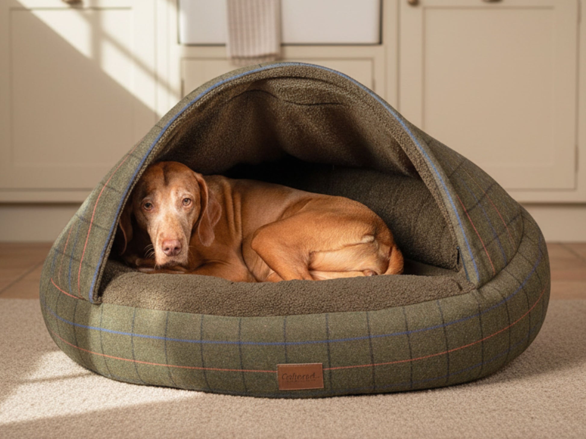 Dog curled up inside a Green Tweed Cocoon Dog Bed in a cosy kitchen setting.