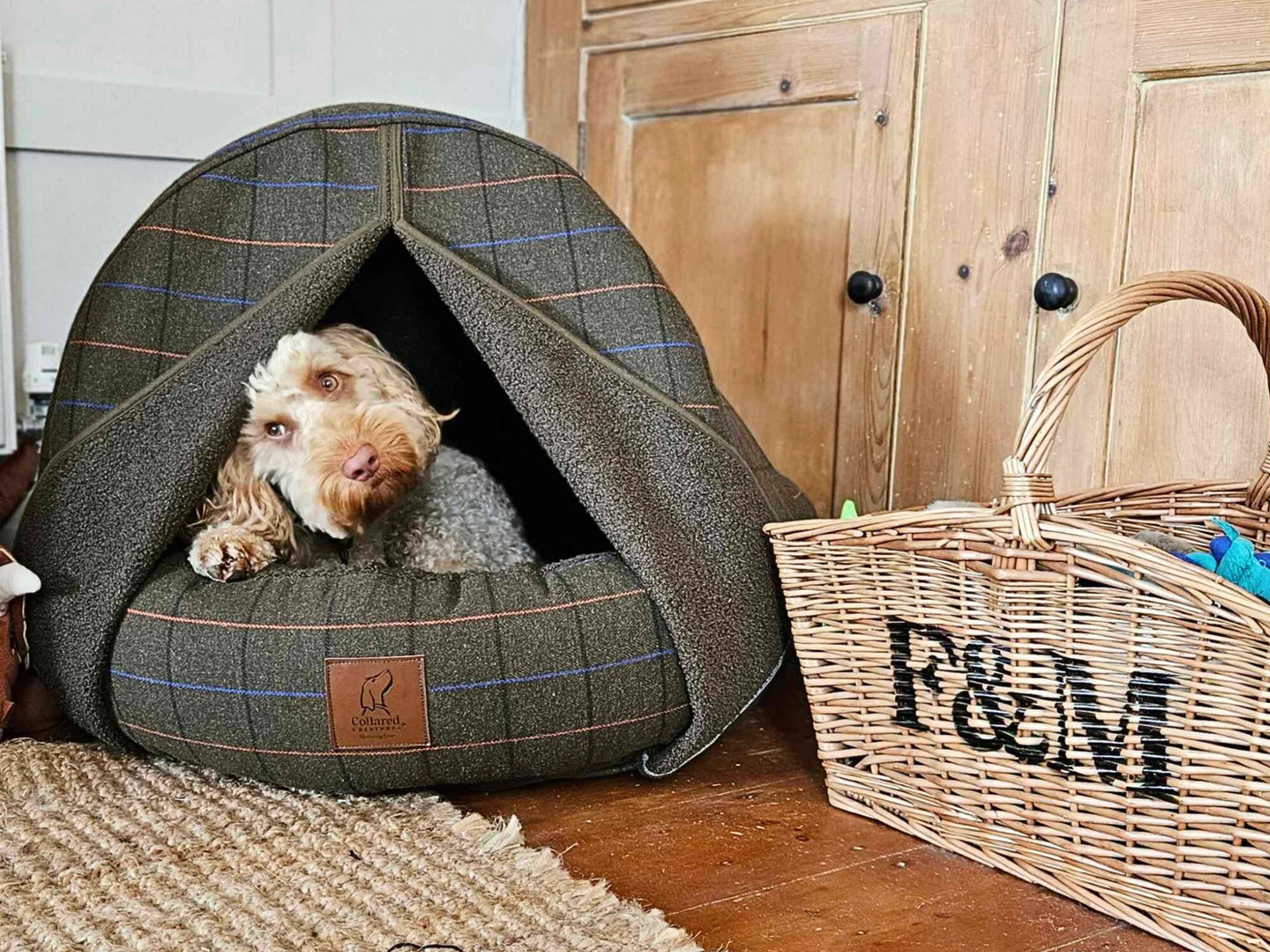 Dog curled up inside a Green Tweed Cocoon Dog Bed beside a wicker basket in a cosy room