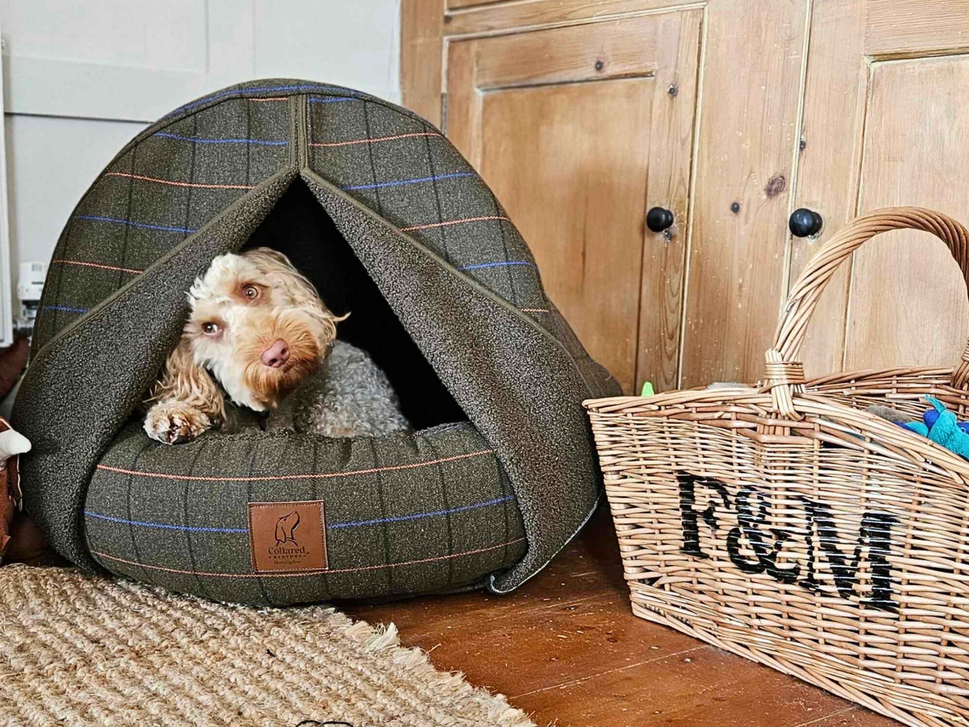 Dog curled up inside a Green Tweed Cocoon Dog Bed beside a wicker basket in a cosy room