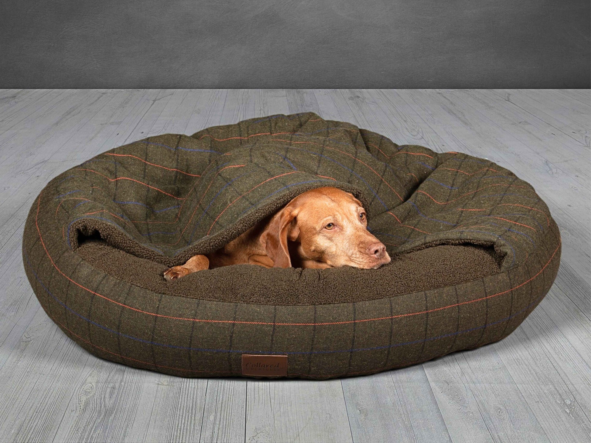 Green tweed cocoon dog bed with dog peeking out from under soft sherpa lining