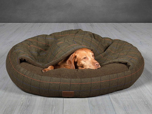 Green tweed cocoon dog bed with dog peeking out from under soft sherpa lining