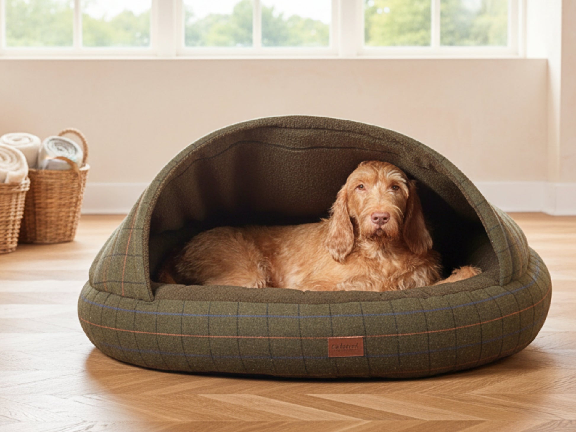 Dog lying comfortably inside a Green Tweed Cocoon Dog Bed in a bright room with wooden floor.