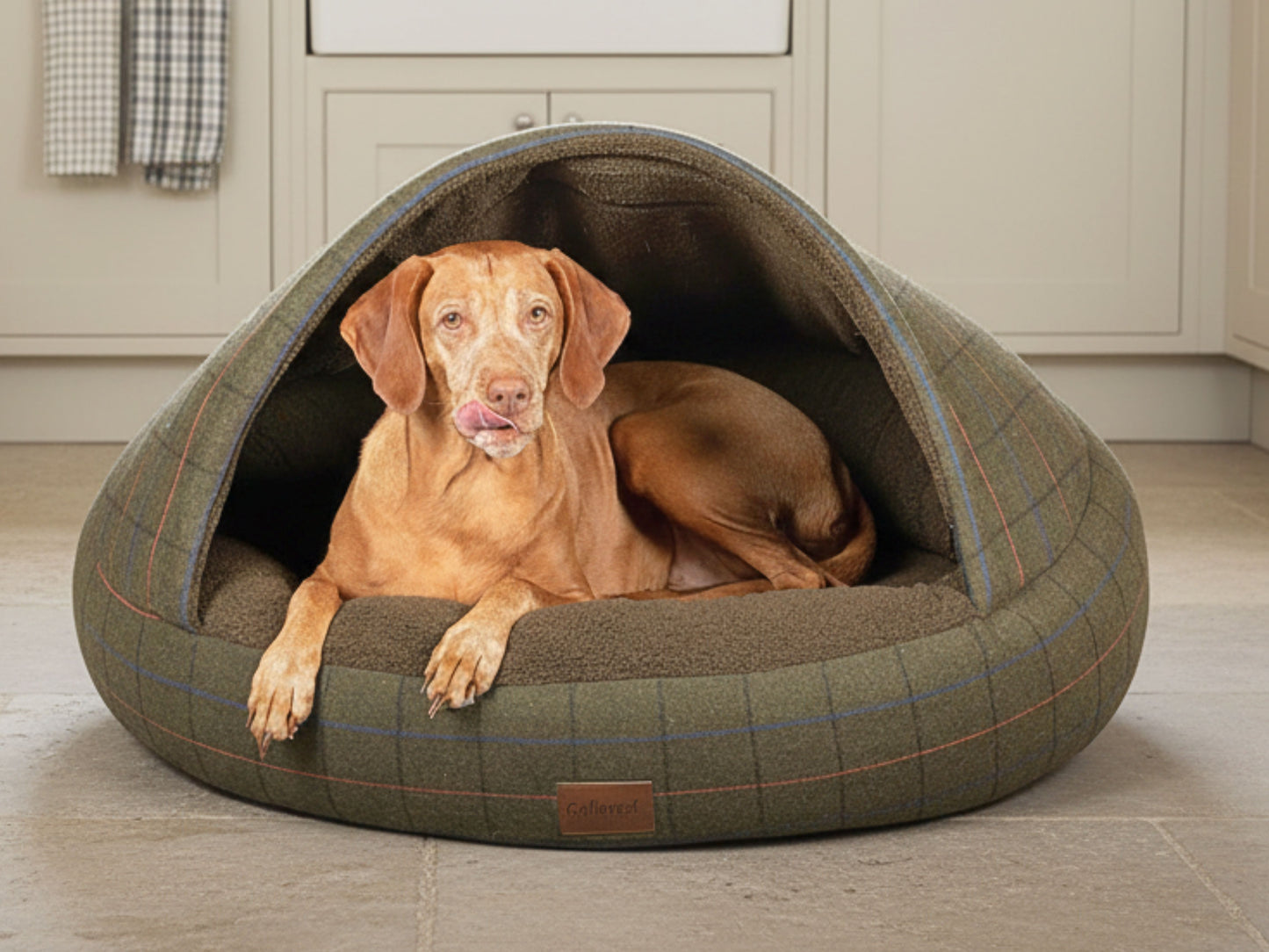 Dog sitting inside a Green Tweed Cocoon Dog Bed with front paws resting on the edge.