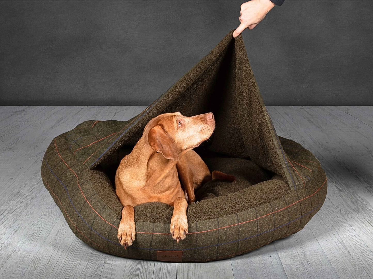 Dog in green tweed classic cocoon bed with raised hood, perfect for snug sleepers