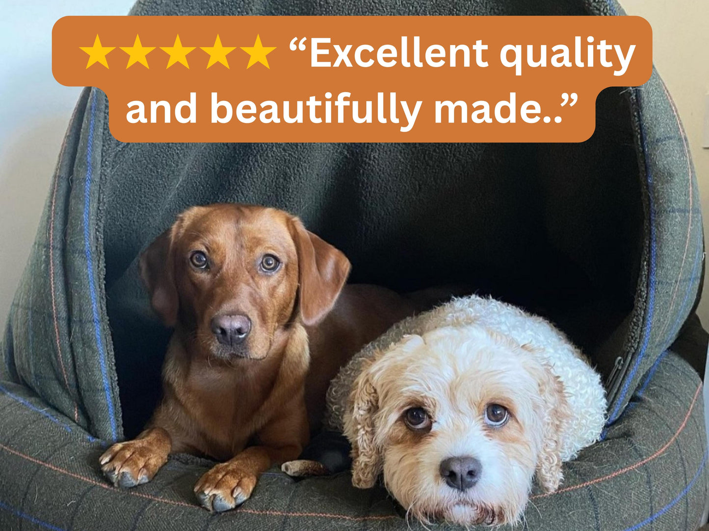 Two dogs relaxing inside a green tweed deluxe cocoon dog bed with 5-star review text overlay: "Excellent quality and beautifully made."