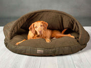 Vizsla resting inside the green tweed dog cave bed with structured hood and plush teddy lining - Collared Creatures