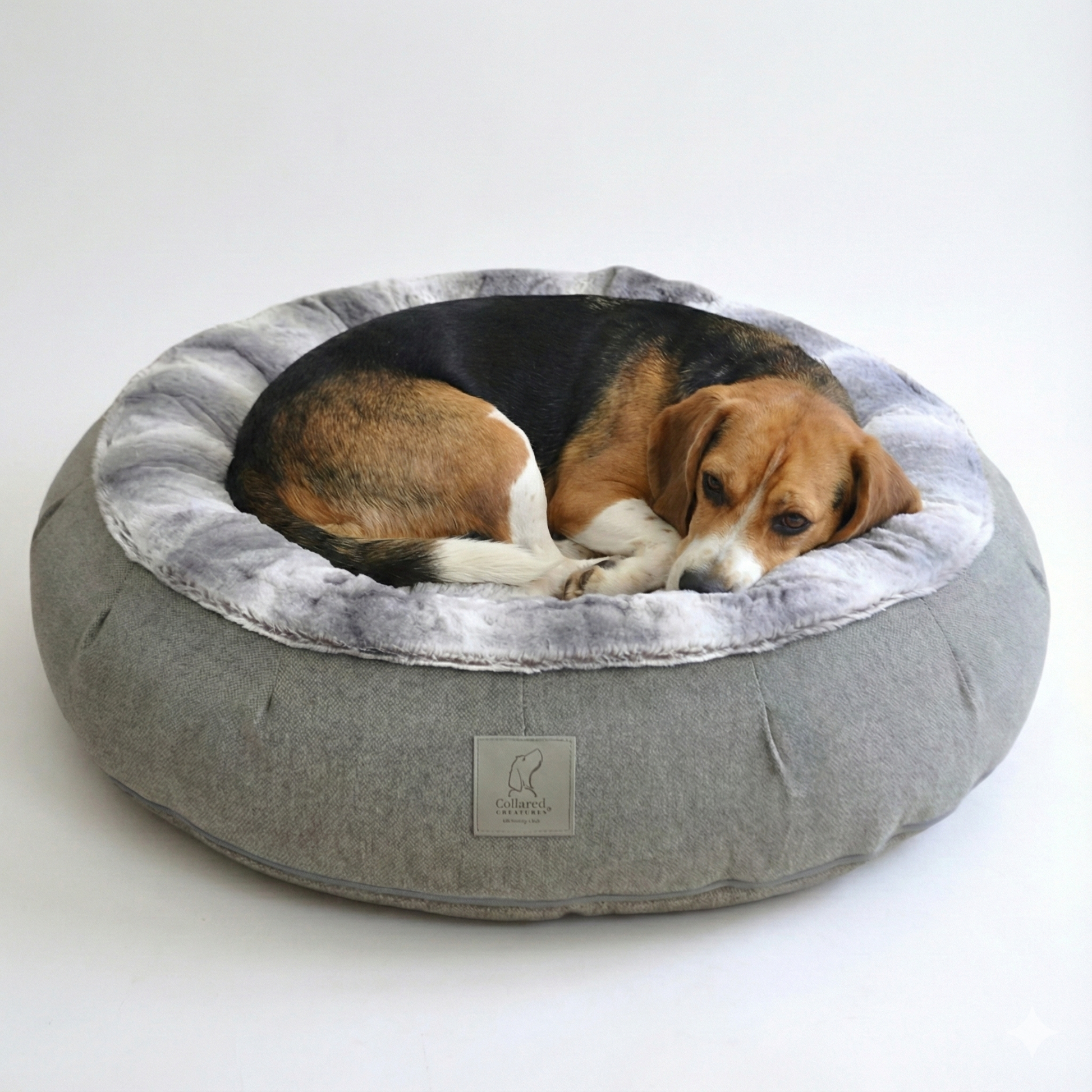 Dog lying on a gray anti anxiety pet bed with a white background 