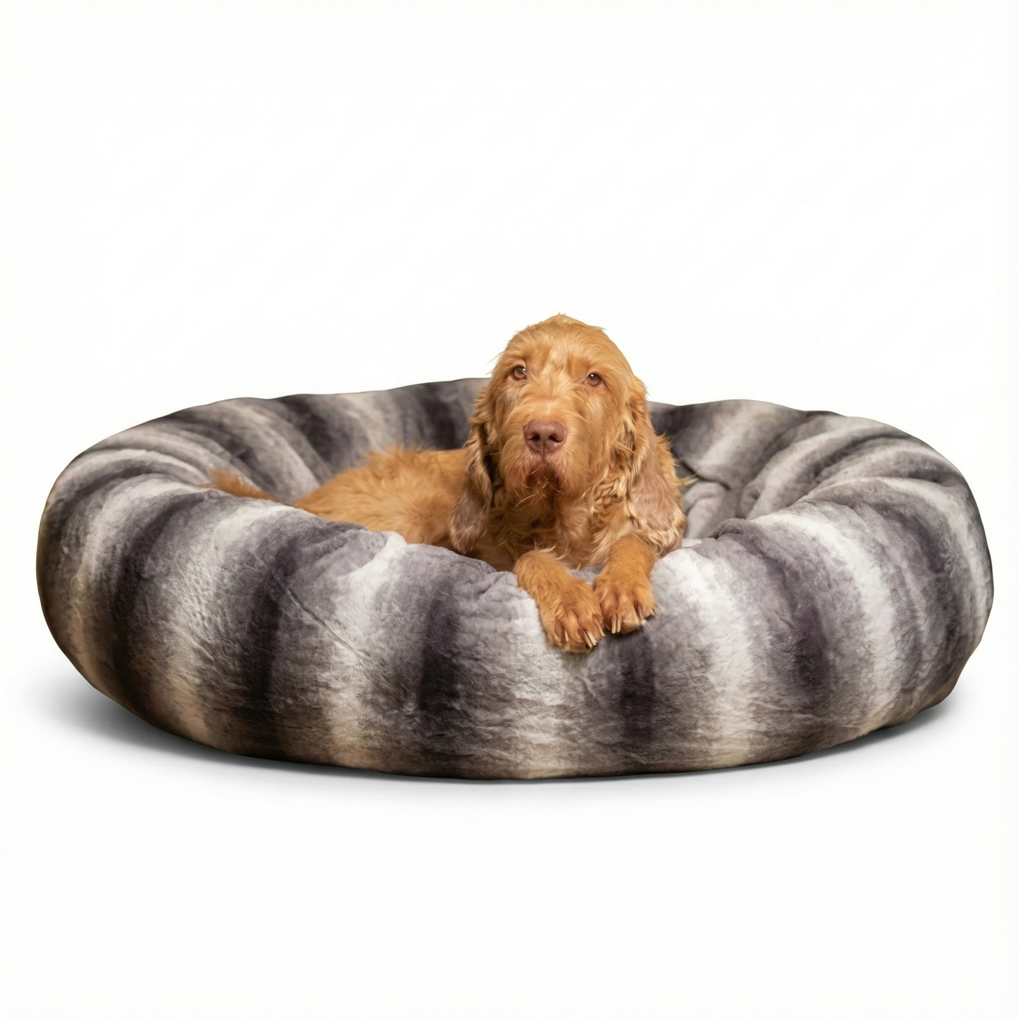 Dog lying on a striped calming donut pet bed with a white background