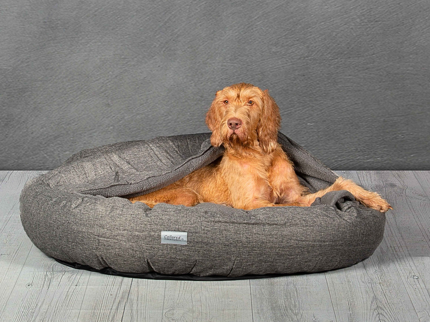 grey hooded cocoon dog bed collared creatures