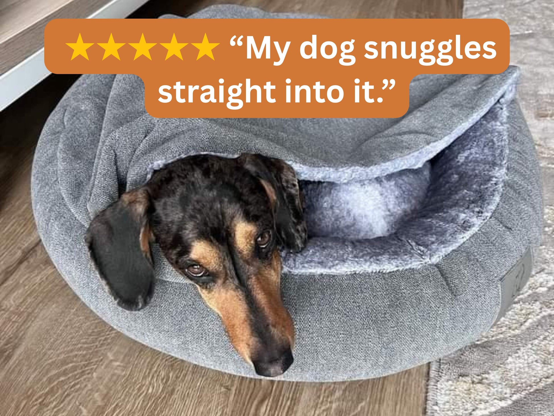 Dog snuggling in a gray pet bed with a five-star rating text overlay.
