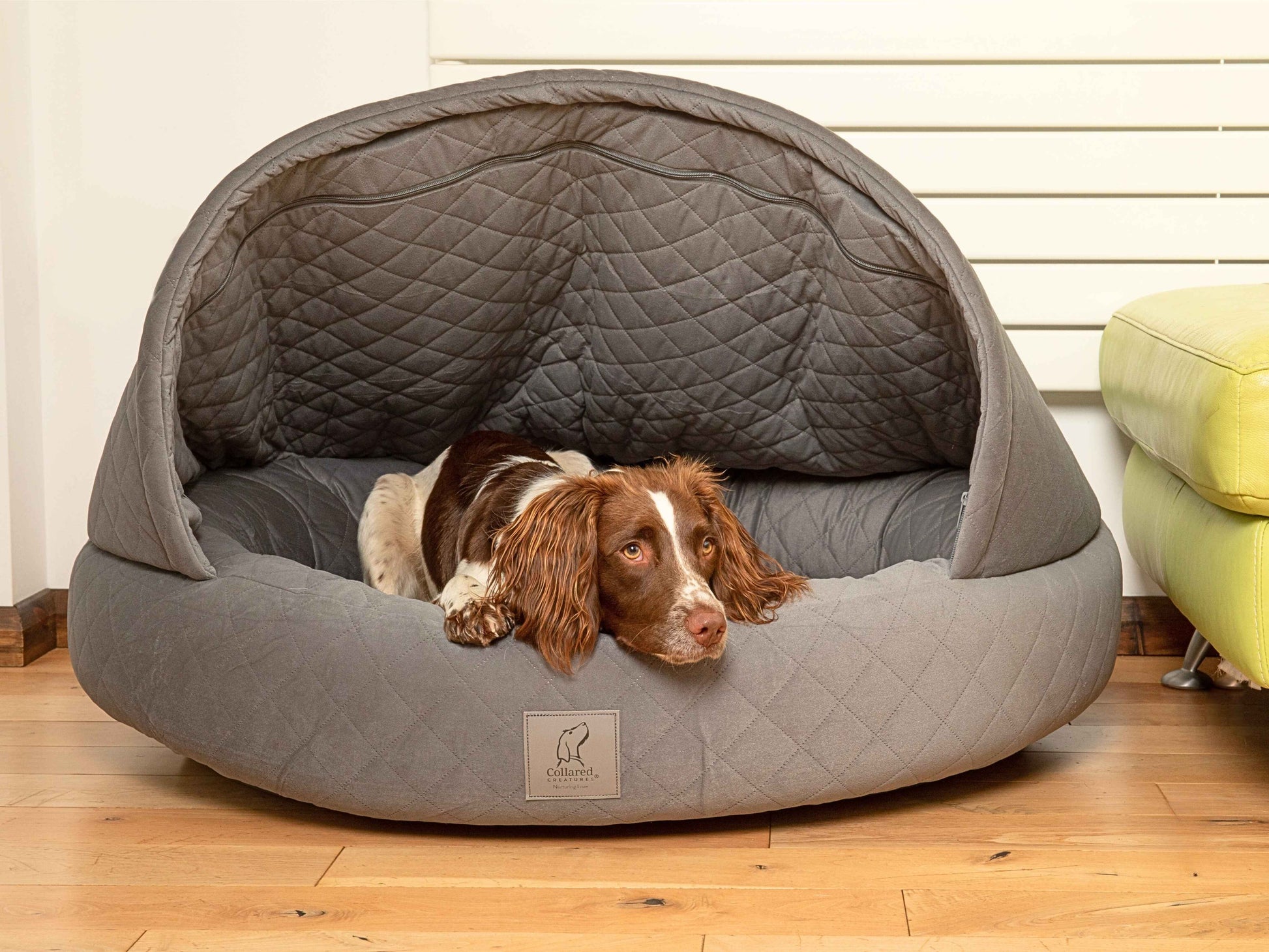  Brown and white Spaniel resting in grey quilted cocoon bed with hood open
