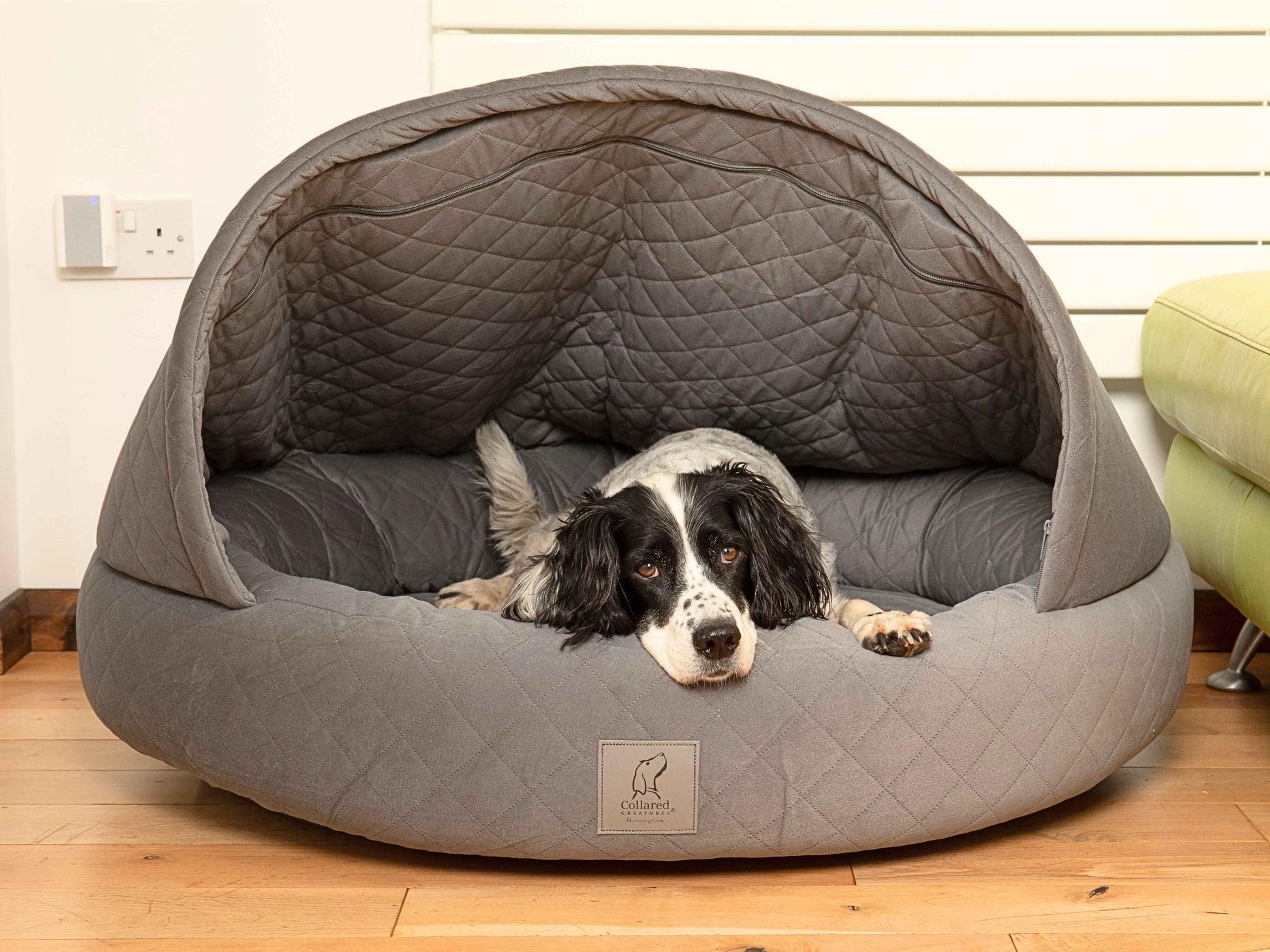 Black and white Spaniel lying in large grey cocoon-style dog bed