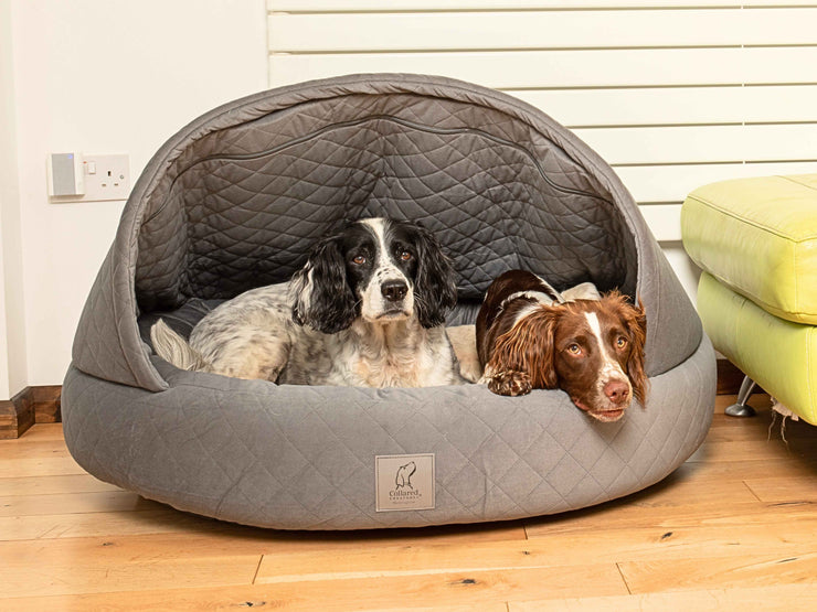 Two Spaniels snuggled together in extra large grey cocoon dog bed by Collared Creatures