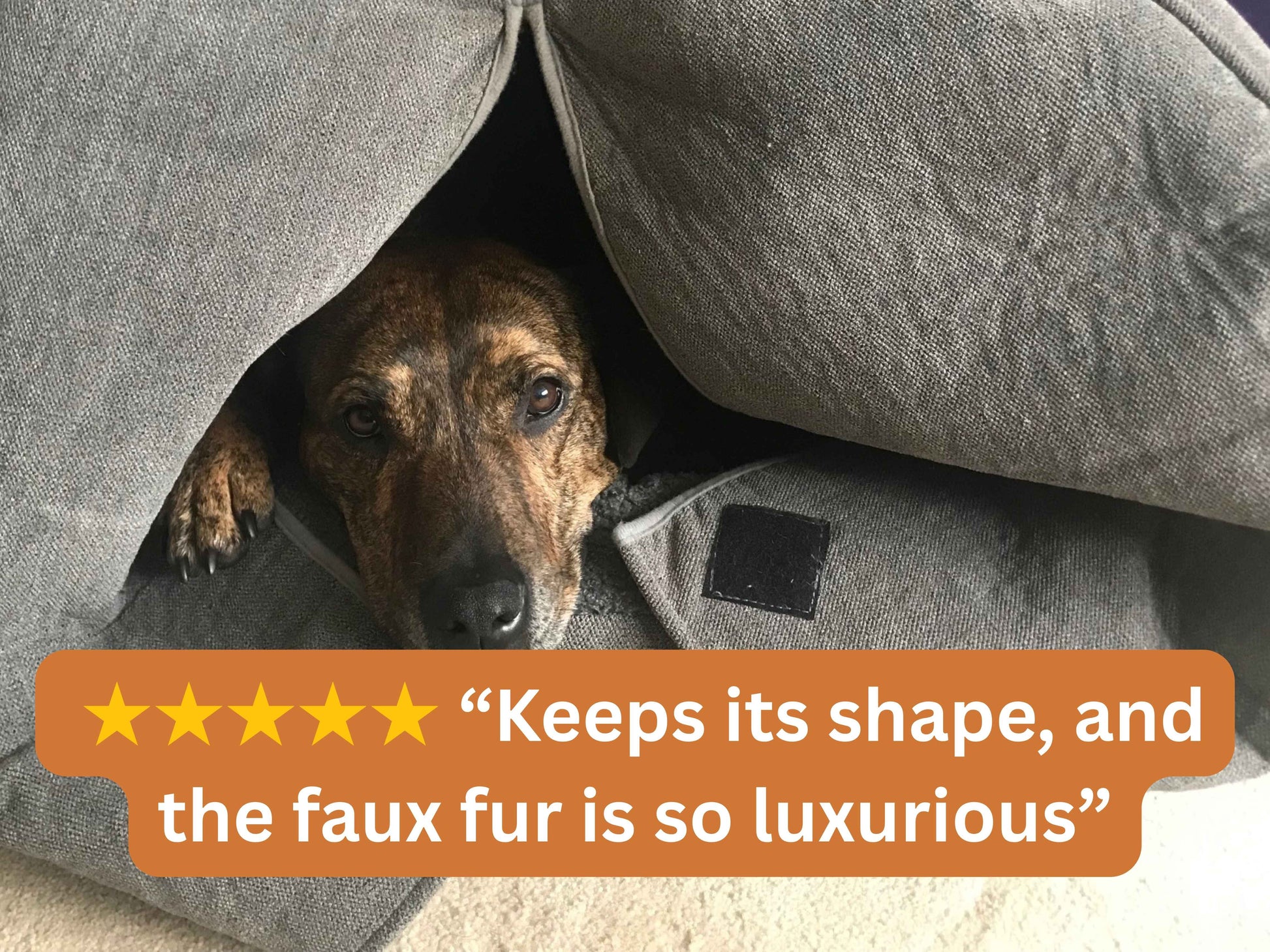 Dog resting inside Grey Deluxe Cocoon Bed with review text saying keeps its shape and the faux fur is so luxurious