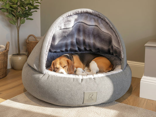 Dog lying in a gray cocoon pet bed with a plant and basket in the background