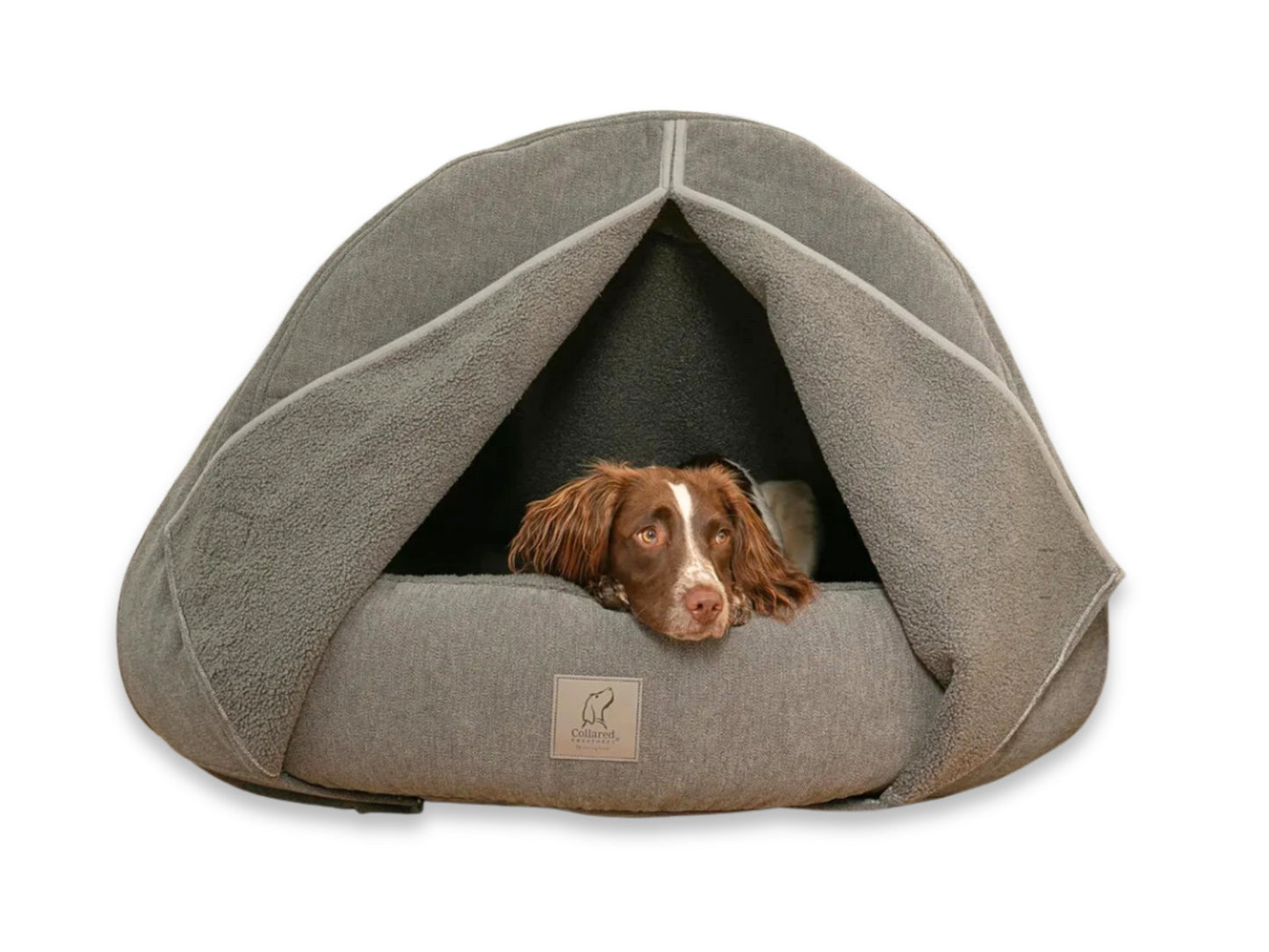Dog peeking out from a grey cocoon dog bed on a white background