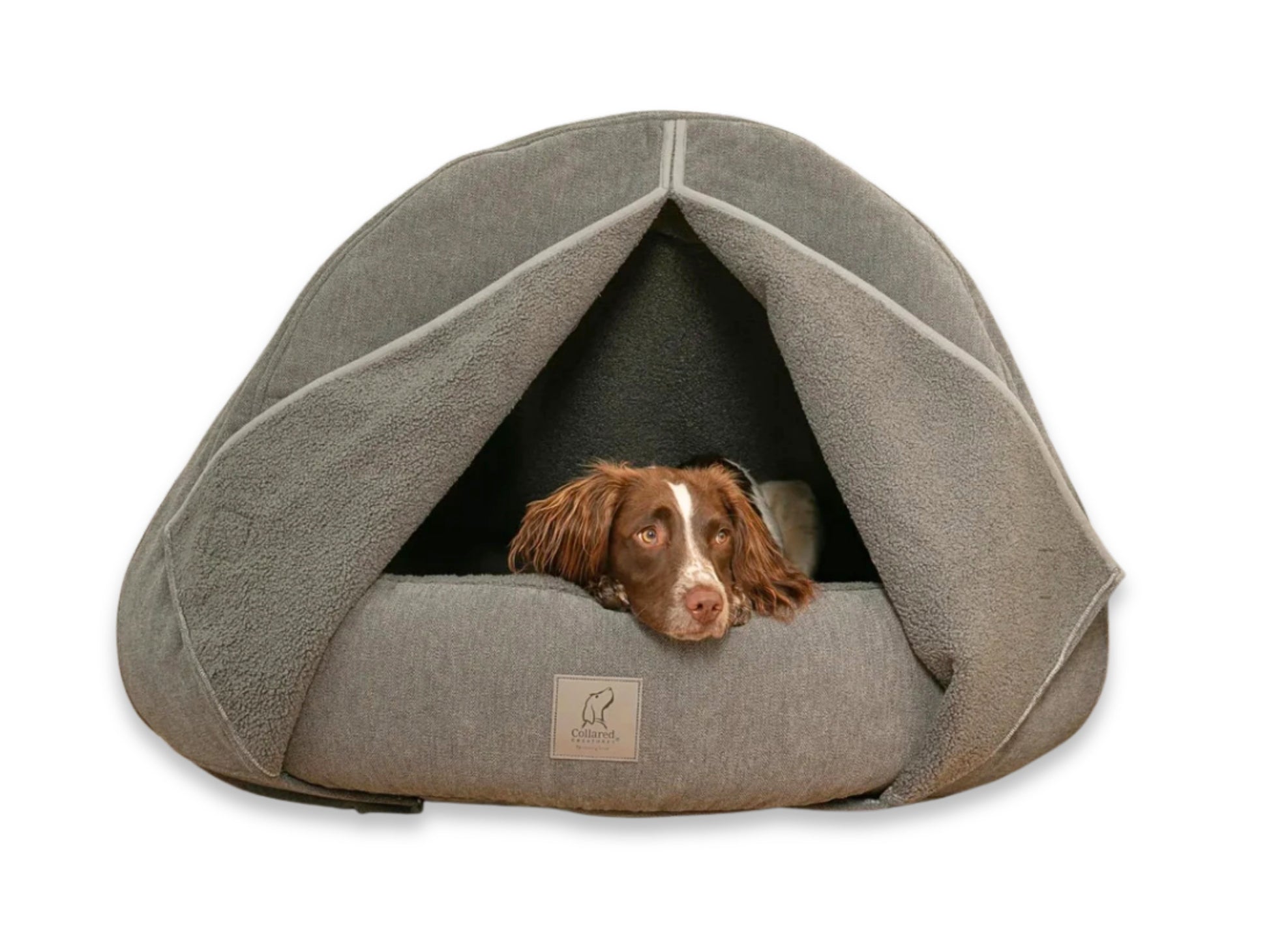 Dog peeking out from a grey cocoon dog bed on a white background