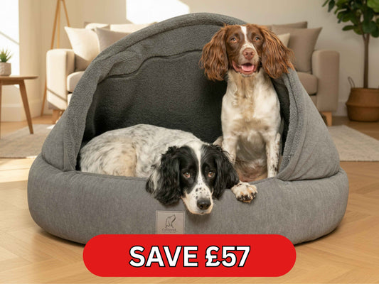 Two dogs in a grey cocoon pet bed with a price tag discount label in a living room setting.