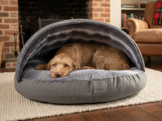 dog lying in grey dog cave bed in cozy living room setting