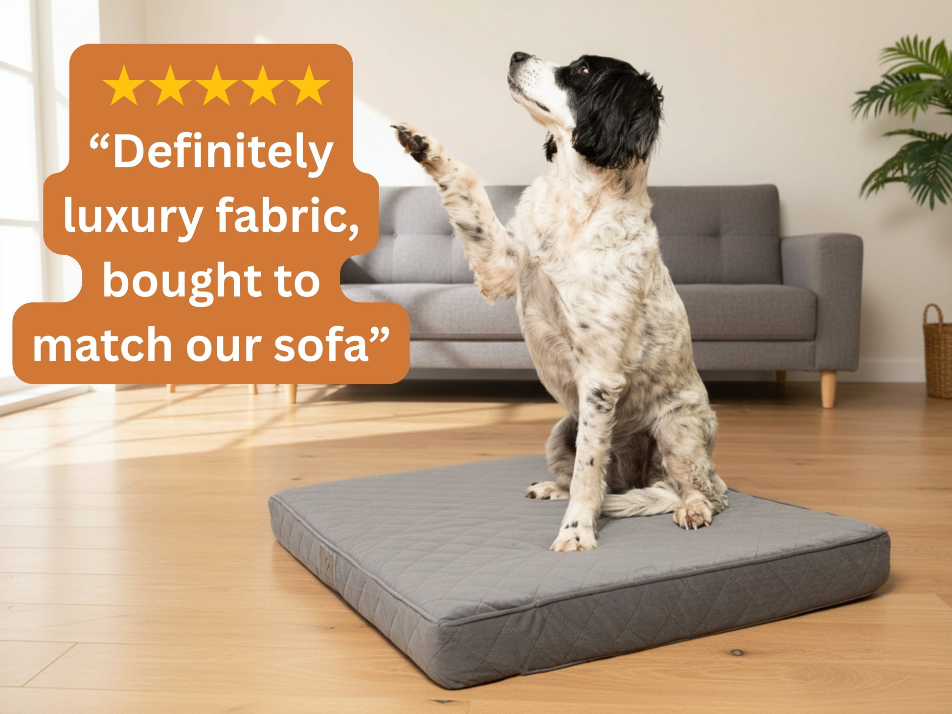 Black and white dog sitting on a grey quilted mattress dog bed with a five-star customer review overlay