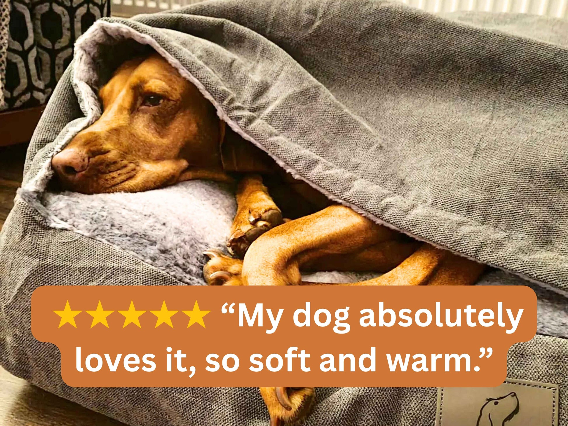 Grey dog snuggle bed with removable hood and 5-star review overlay