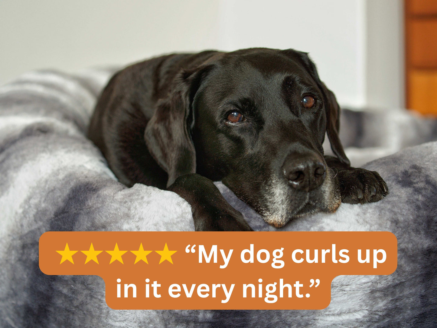 Grey Donut Dog Bed with black dog resting and customer review overlay: My dog curls up in it every night.