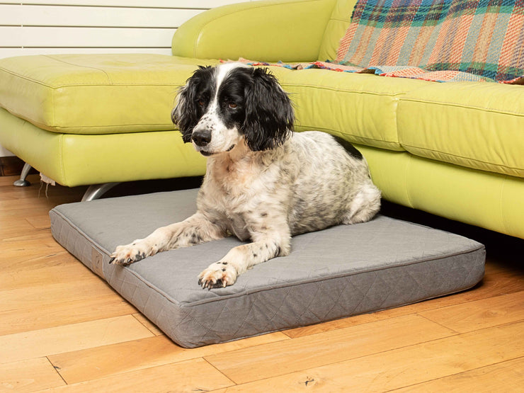 Black and white dog resting on a grey luxury velour mattress dog bed near a sofa.