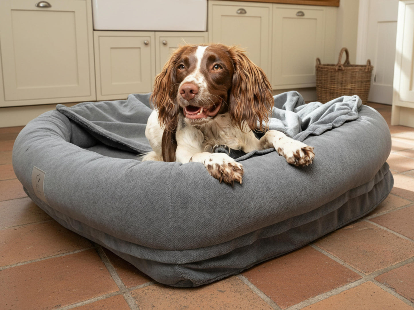 Dog lying on a large grey bolster dog bed with removable hood in a kitchen